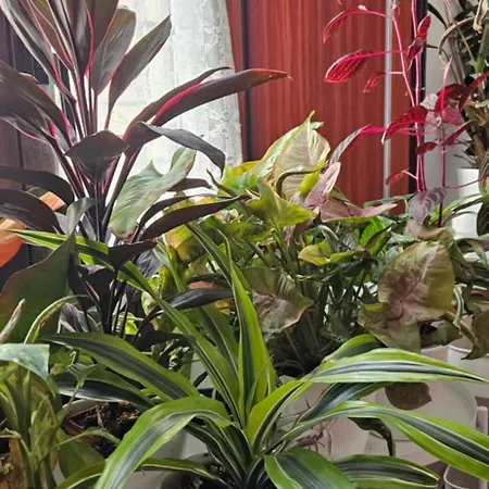 Descalzos Angel With Private Terrace Free Parking Апартаменты Ронда