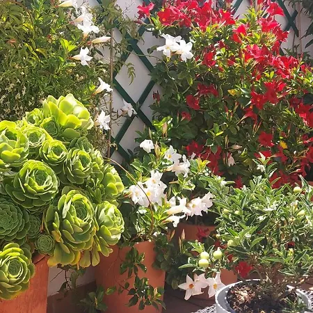 Lejlighed Descalzos Angel With Private Terrace Free Parking *