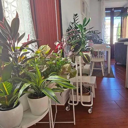 Lejlighed Descalzos Angel With Private Terrace Free Parking Ronda