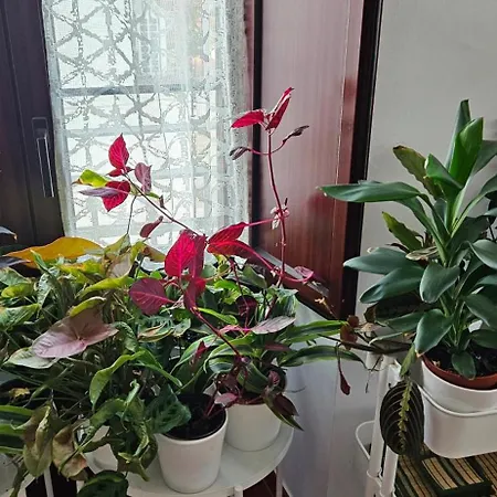 Descalzos Angel With Private Terrace Free Parking Ронда