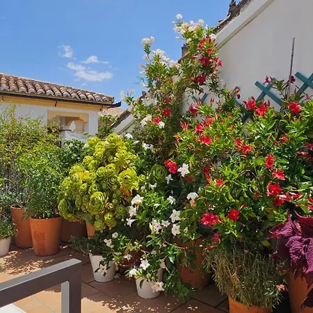 Descalzos Angel With Private Terrace Free Parking Lejlighed Ronda
