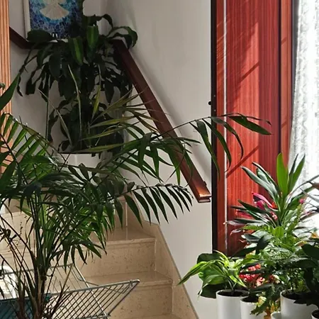 Descalzos Angel With Private Terrace Free Parking Ронда